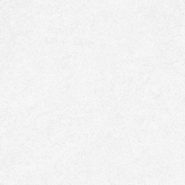 BASALTINA WHITE NATURAL - 1,44 M2 - 60X120 - VITE